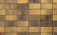 Плитка тротуарная ВЫБОР ЛА-Линия 2П.6, Листопад гладкий Янтарь коричнево-желтый, 200*100*60 мм