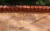 Плитка тротуарная ВЫБОР Антик 3А.6, Листопад Осень коричнево-красно-желтый гранит в Сочи