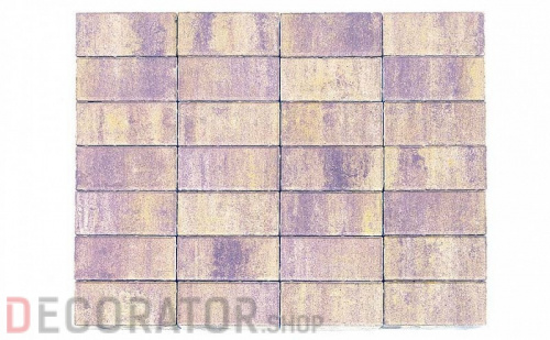 Плитка тротуарная BRAER Прямоугольник цвет Color Mix Прайд, 200*100*60 мм в Сочи